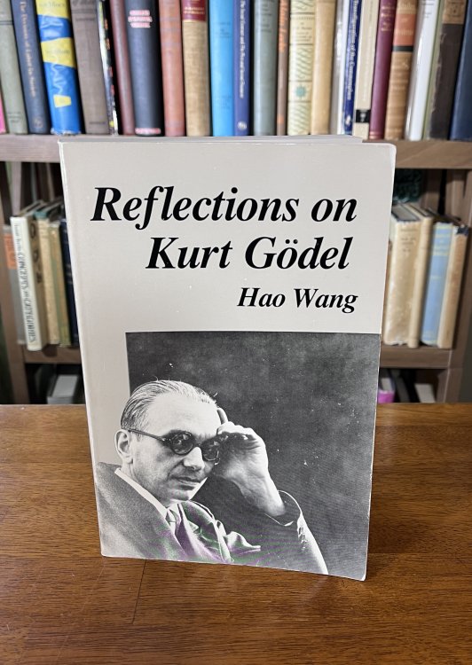 Reflections on Kurt Godel