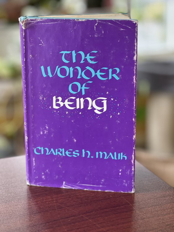 The Wonder Of Being