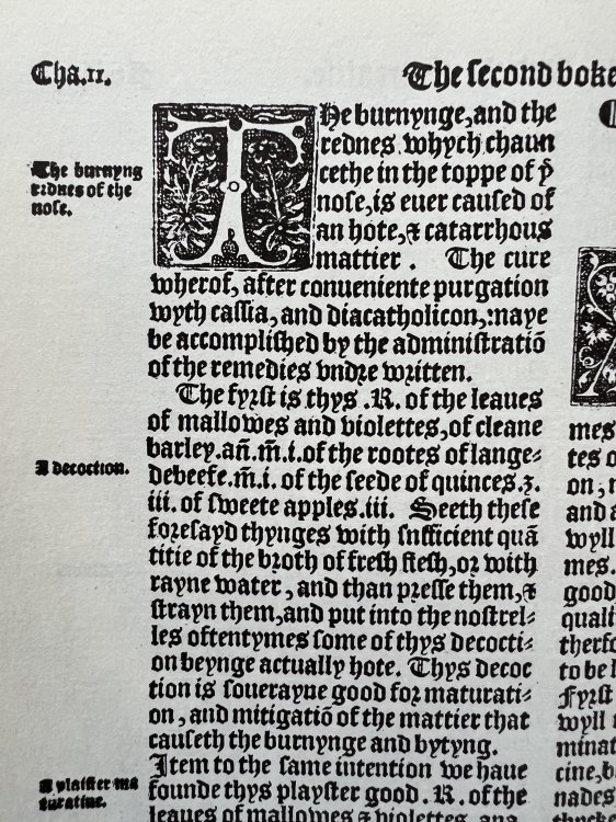 The Most Excellent Works of Chirurgerye