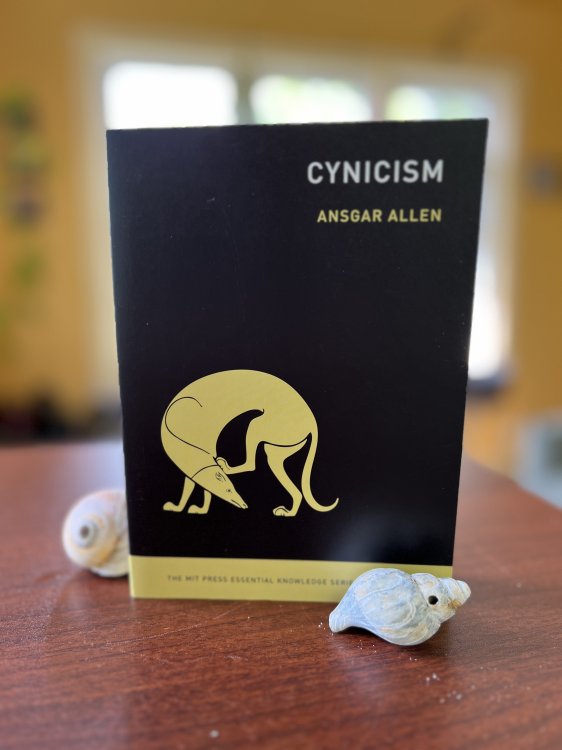 Cynicism