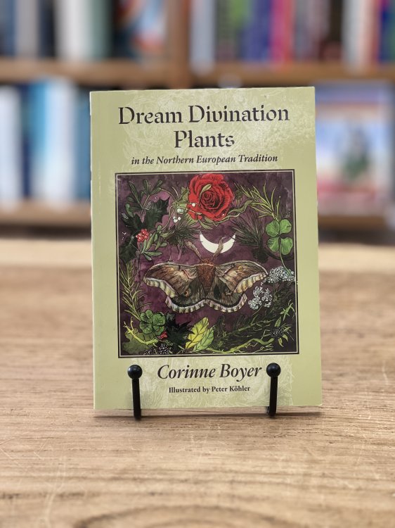 Dream Divination Plants in the Northern European Tradition