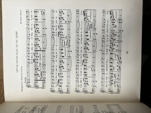 The Book of American Negro Spirituals