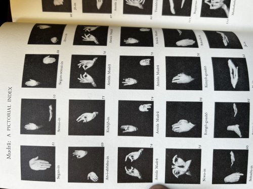 Mudra: A Study of Symbolic Gestures in Japanese Buddhist Sculpture