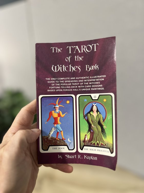 The Tarot of the Witches Book