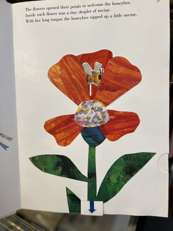 The Honeybee and the Robber Pop Up Book