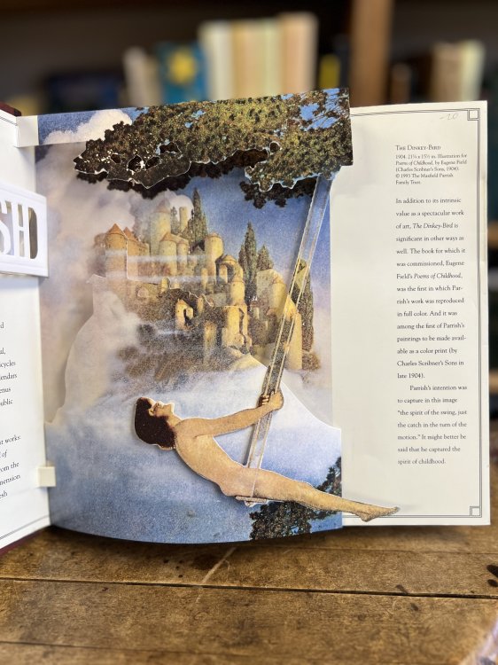 The Mayfield Parrish Pop Up Book