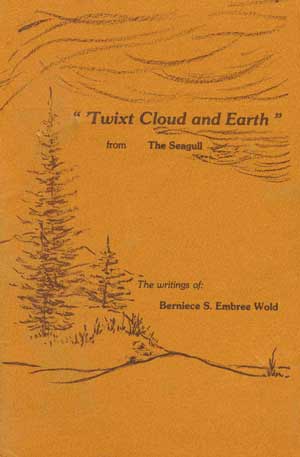 Twixt Cloud and Earth: From the Seagull