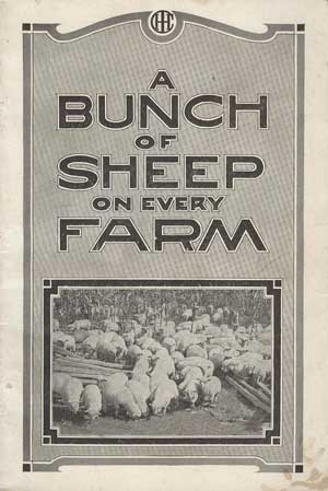 A Bunch of Sheep on Every Farm