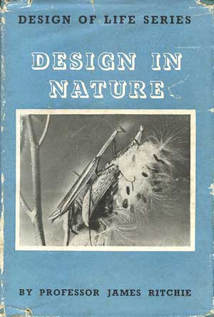Design In Nature