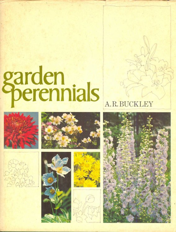 Garden Perennials