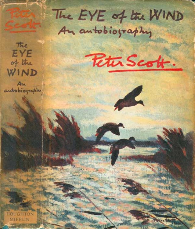 The Eye of the Wind: An Autobiography
