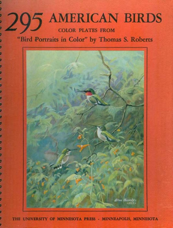 295 American Birds: Ninety - Two Color Plates from Bird Portraits in Color