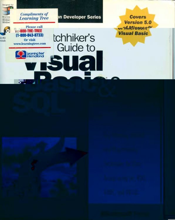 Hitchhiker's Guide to Visual Basic and Sql Server, Fifth Edition