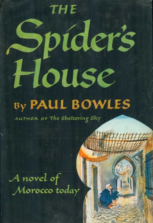 The Spider's House