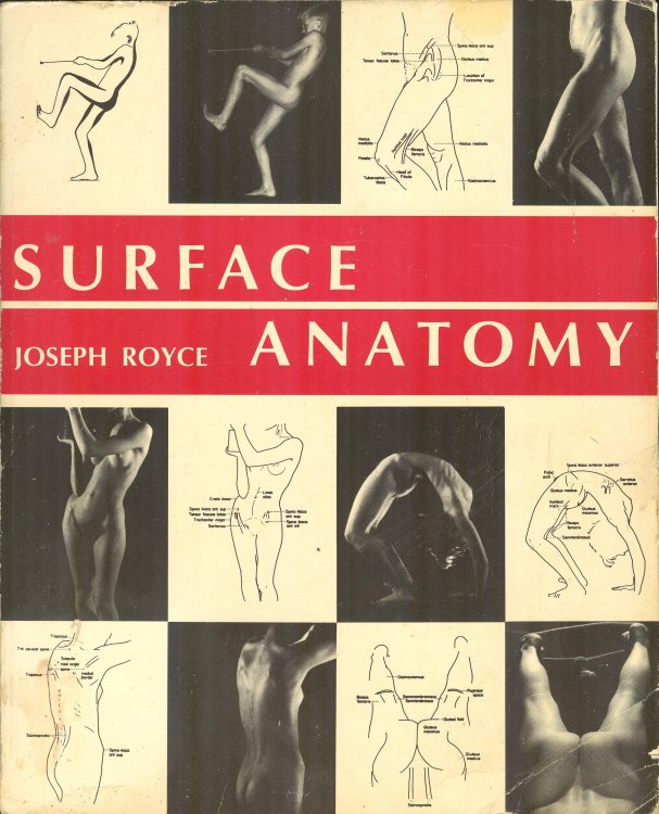 Surface Anatomy