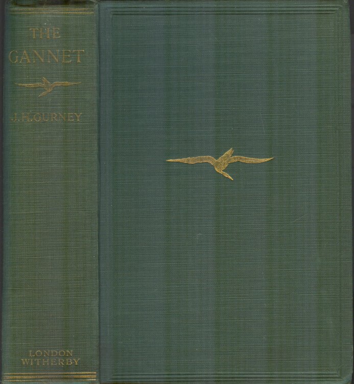 The Gannet: A Bird with a History