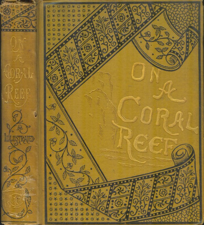 On A Coral Reef; The Story Of A Runaway Trip To Sea