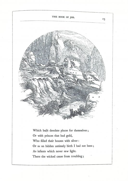 The Book of Job: Illustrated with Fifty Engravings from Drawings, and with Explanatory Notes and Poetical Parallels