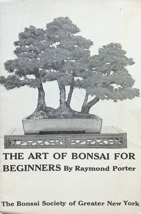 The Art of Bonsai for Beginners