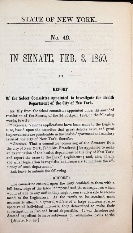 N. Y. State Senate: Mr. Ely's Report on the Sanitary Condition of the City of New York