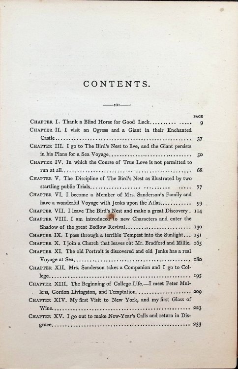 Arthur Bonnicastle: An American Novel