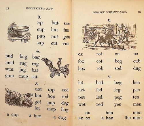 A Primary Spelling-Book of the English Language