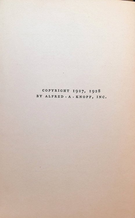 The Gangs of New York: An Informal History of the Underworld