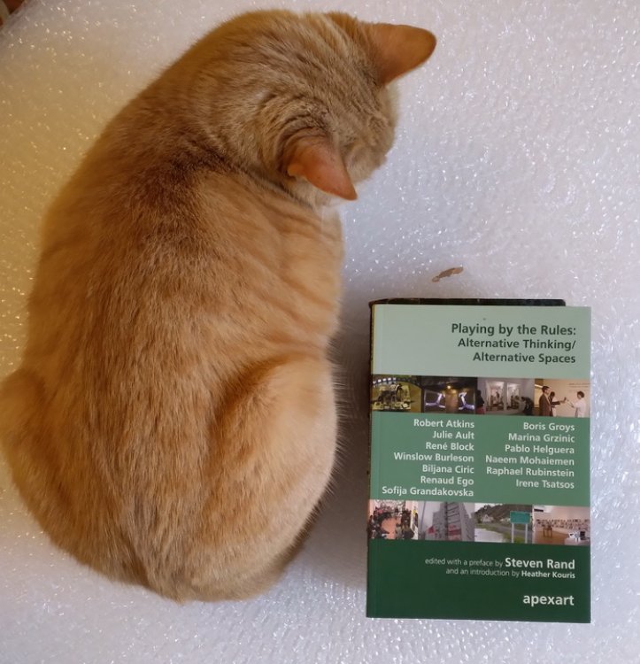 Playing by the Rules: Alternative Thinking/ Alternative Spaces