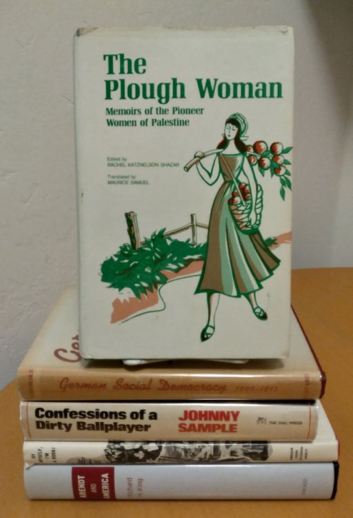 The Plough Woman: Memoirs of the Pioneer Women of Palestine
