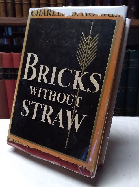Bricks Without Straw