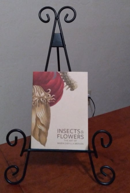 Insects and Flowers: The Art of Maria Sibylla Merian