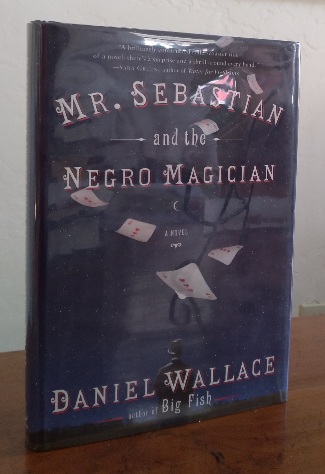 Mr. Sebastian and The Negro Musician