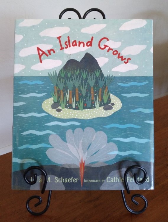 An Island Grows