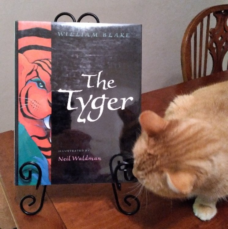 The Tyger