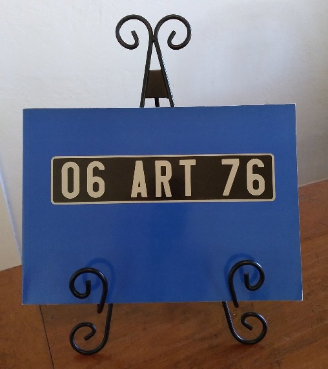 06 Art 76: Aillaud, Erro, Poirier, Rouan, Titus-Carmel, Viallat