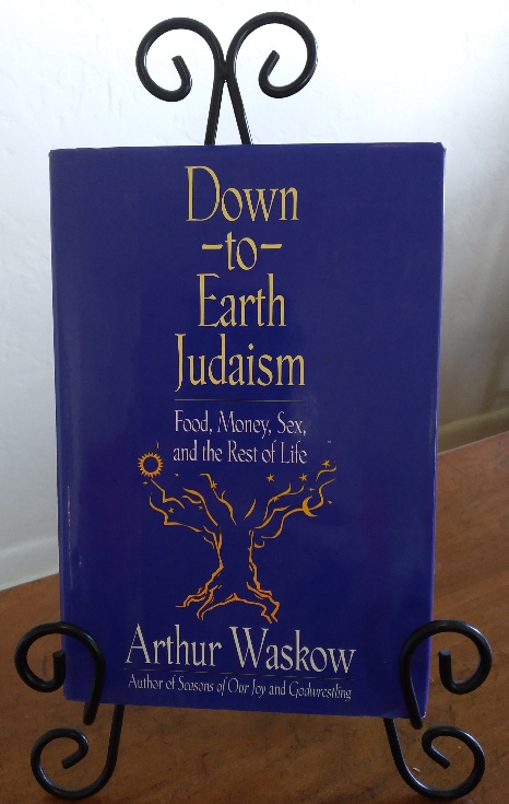 Down-To-Earth Judaism: Food, Money, Sex, and the Rest of Life