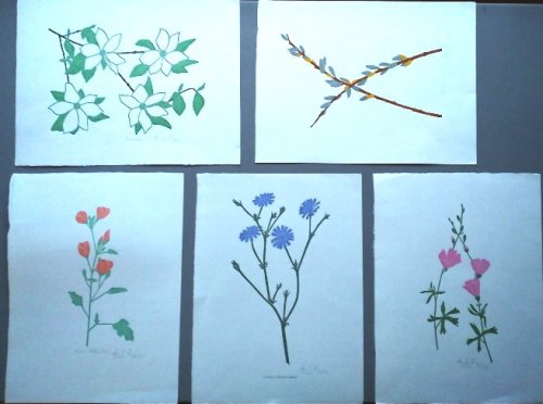A lot of five (5) signed and numbered botanical prints by Edward Singer: Dogwood; Desert Globemallow; Pussy Willow; Unnamed; Chicory
