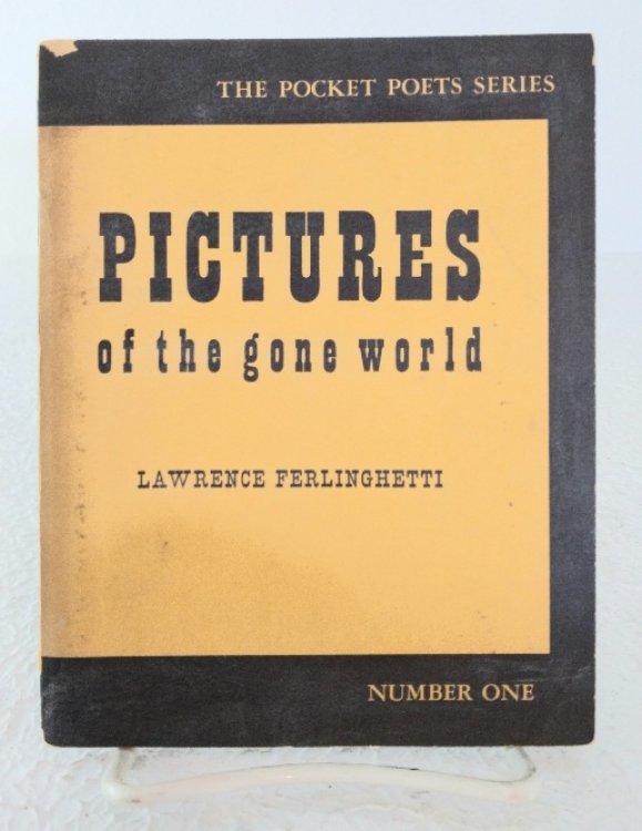 Pictures of the Gone World