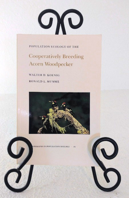 Population Ecology of the Cooperatively Breeding Acorn Woodpecker