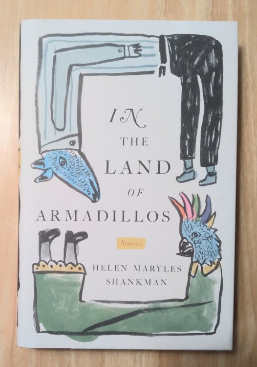 In the Land of Armadillos: stories