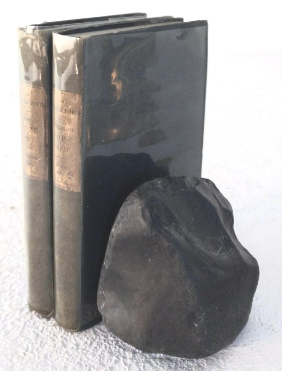 The Poetical Works of Alexander Pope, Volume I, Volume II