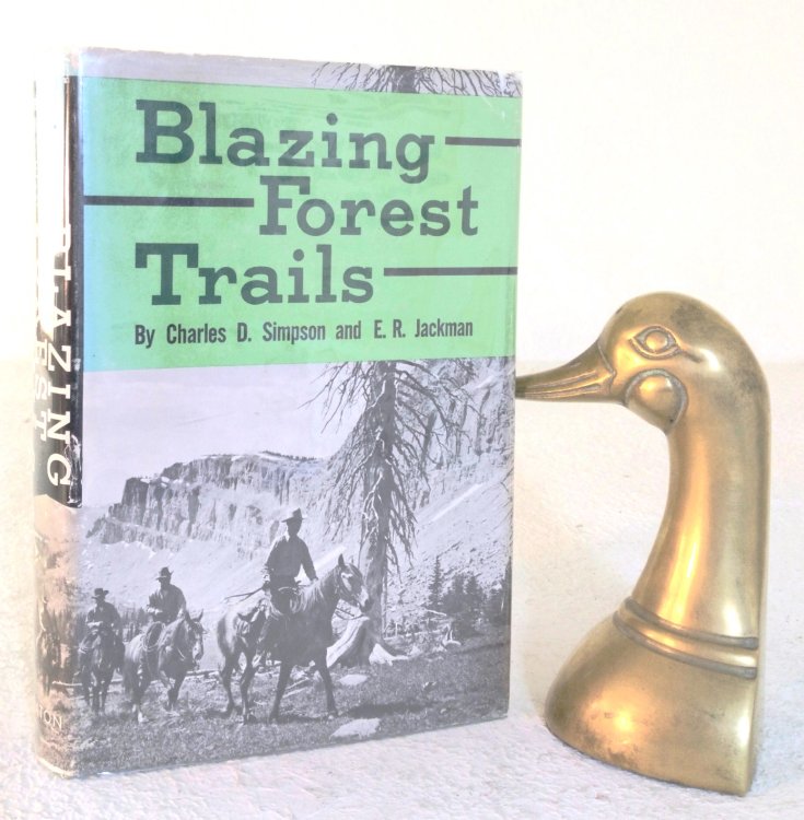 Blazing Forest Trails