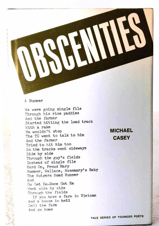 Obscenities: a bummer