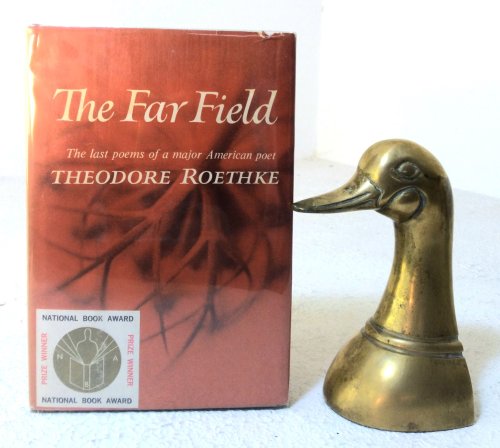 The Far Field