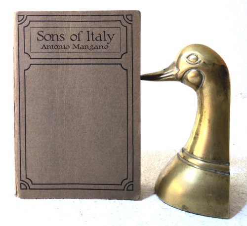 Sons of Italy: a social and religious study of the Italians in America