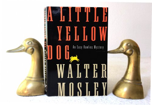 A Little Yellow Dog