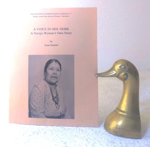 Irene Stewart: A Voice in Her Tribe, a Navajo Woman's Own Story