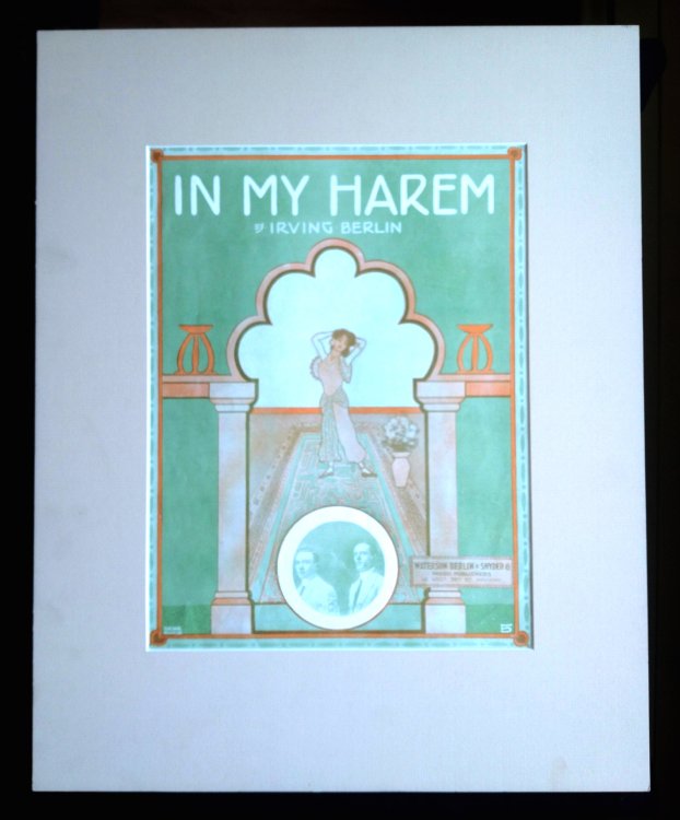 In My Harem