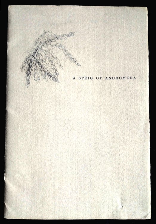 A Sprig of Andromeda: a letter from Louisa May Alcott on the Death of Henry David Thoreau