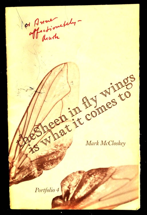 The Sheen in Fly Wings is What it Comes To: Portfolio 4